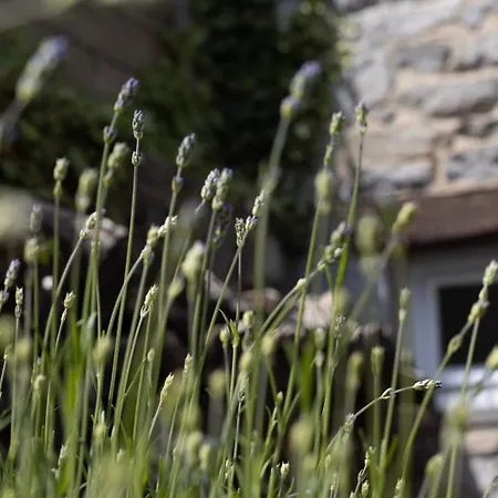 Maison De Charme A Et Le La Bed & Breakfast 3*