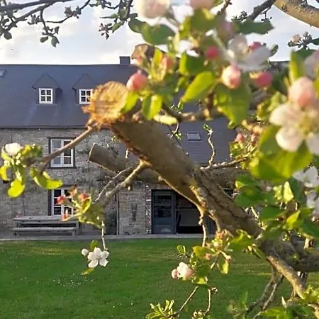 Bed & Breakfast Maison De Charme A Et Le La