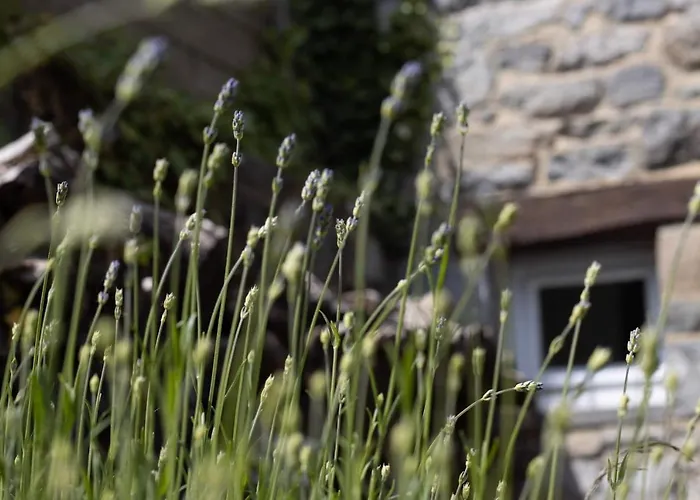 Maison De Charme A Et Le La Bed & Breakfast 3*